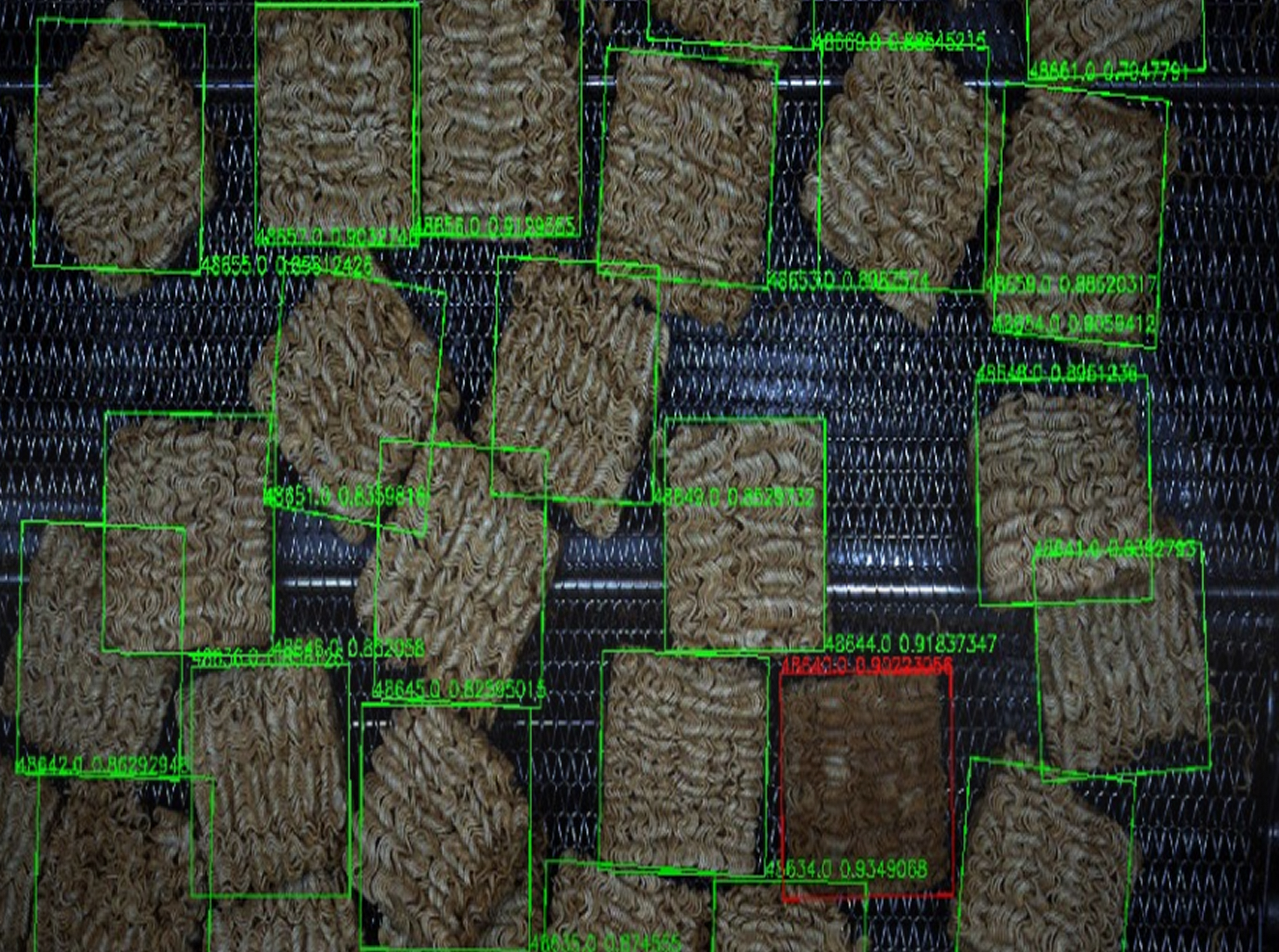 Baking Color Inspection